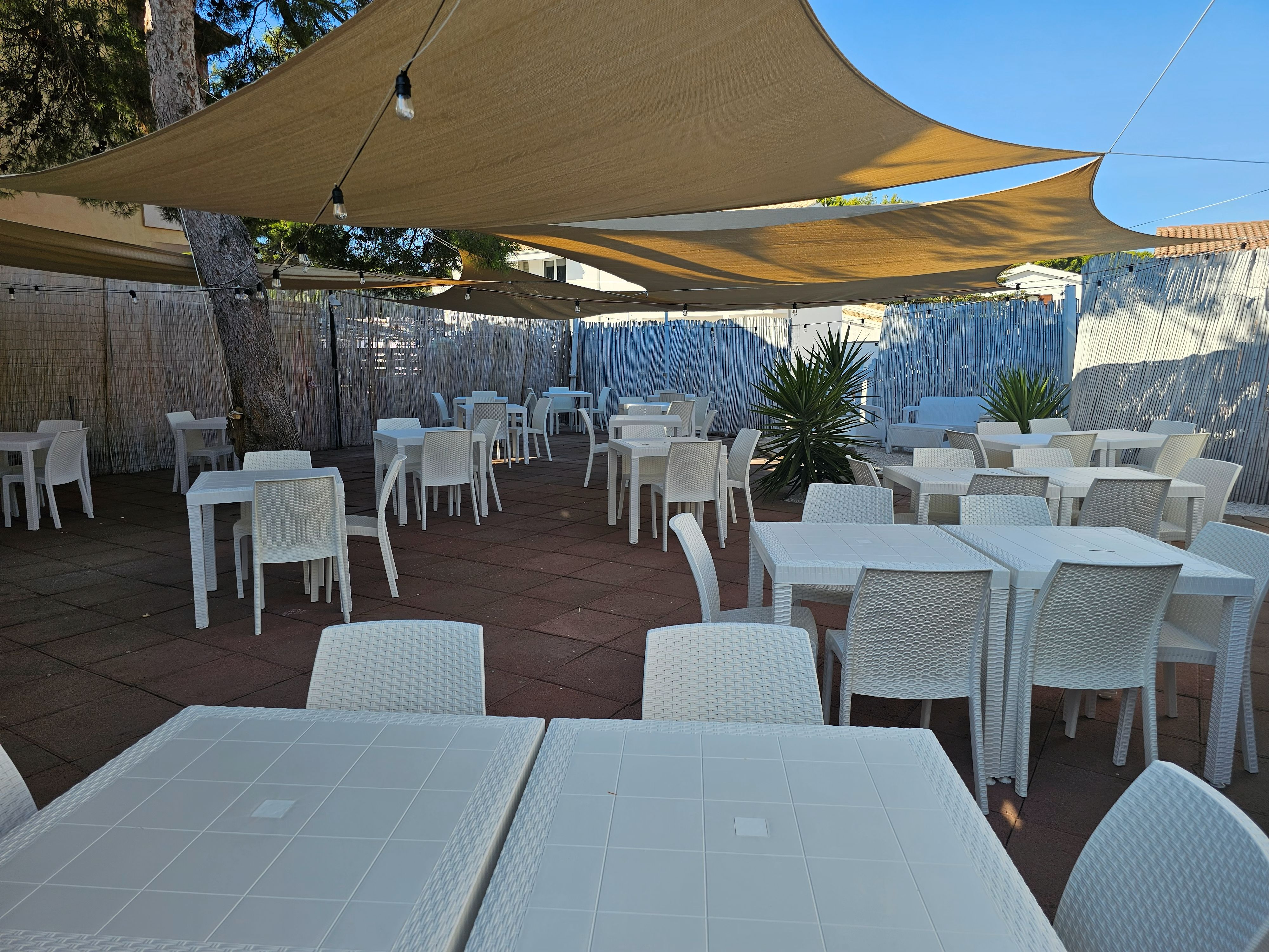 /api/file/public/265354/30823