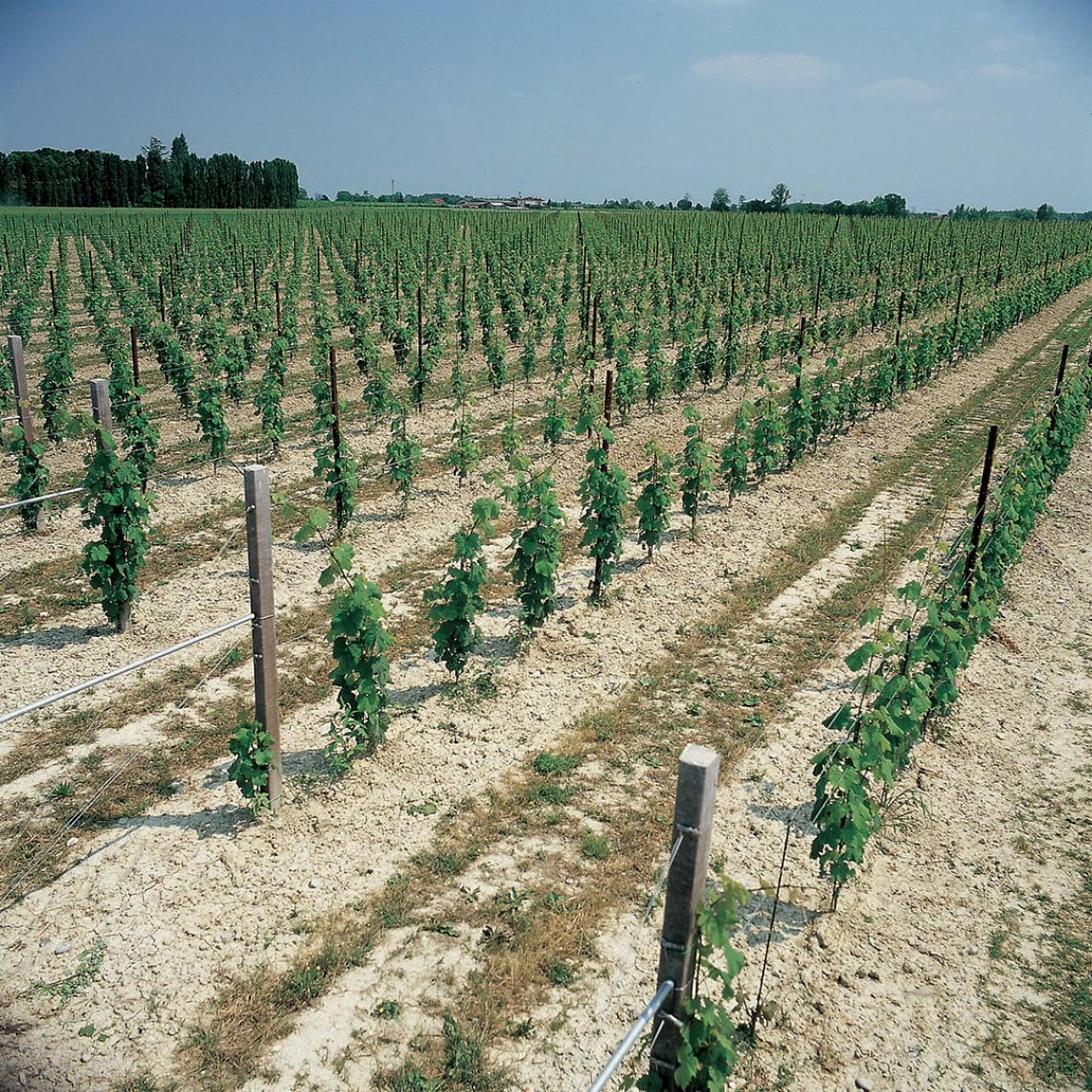 /api/file/public/265357/30824