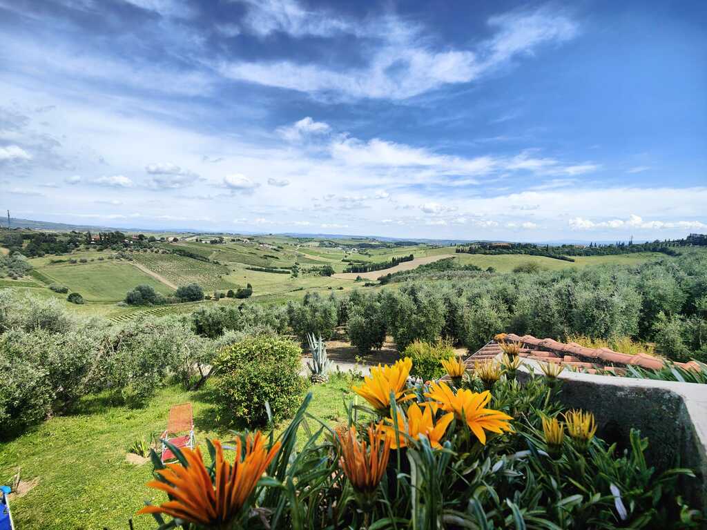 /api/file/public/265375/30855