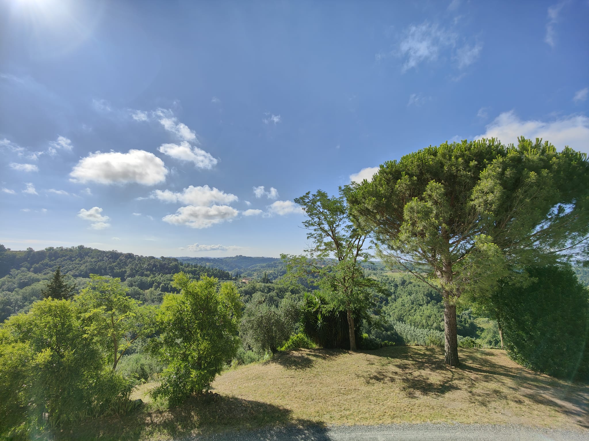 /api/file/public/265376/30877