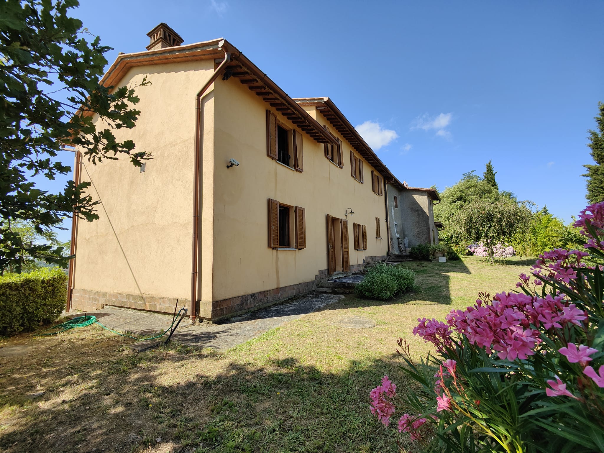 /api/file/public/265376/30879