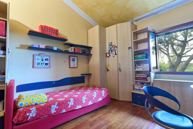 /api/file/public/265377/30902