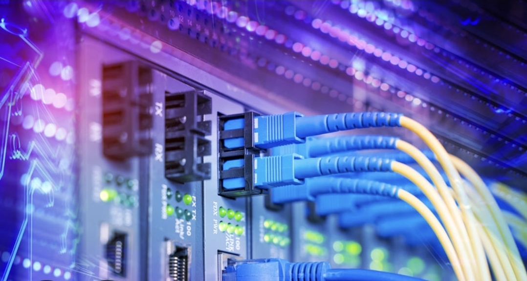 /api/file/public/265378/30913