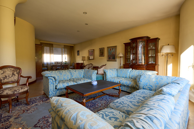 /api/file/public/265380/30924