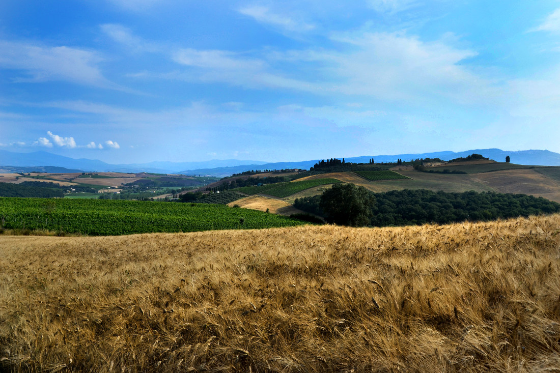 /api/file/public/265384/30987