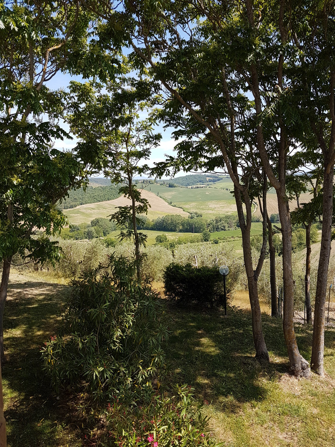 /api/file/public/265384/30992