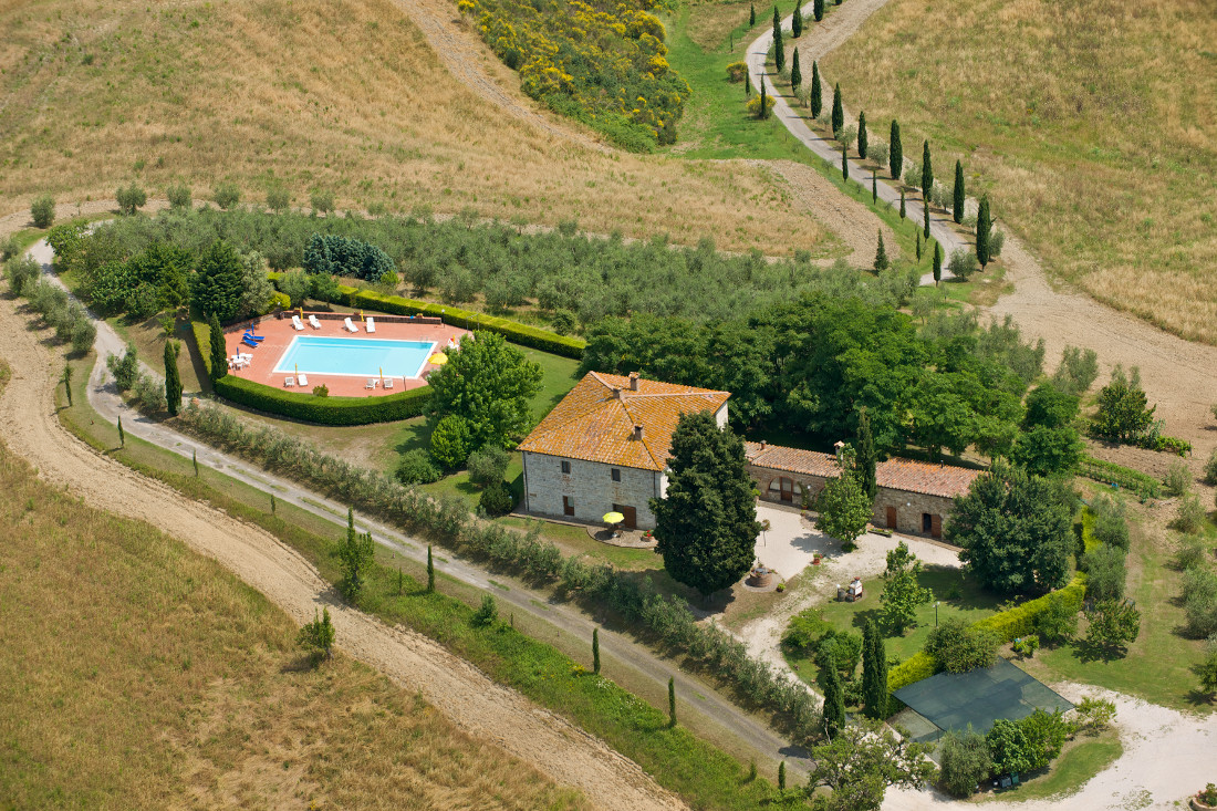 /api/file/public/265384/31000