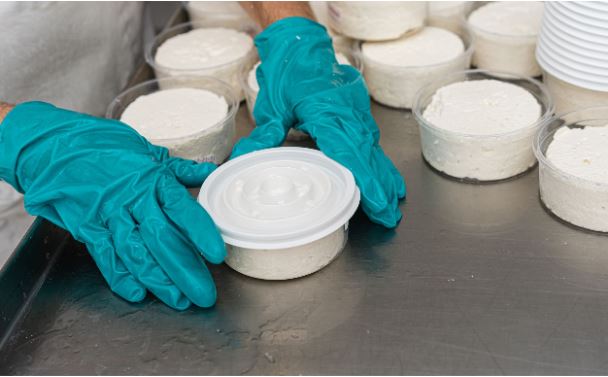 /api/file/public/265385/31001