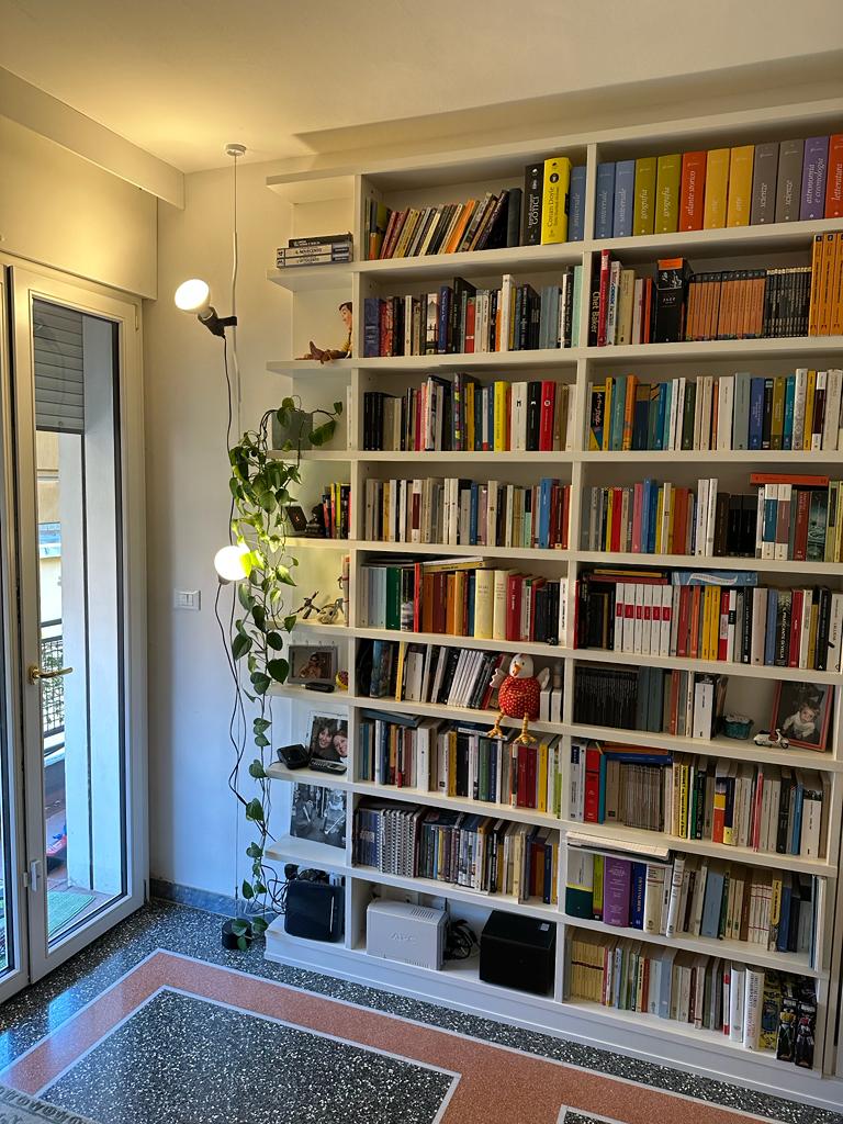 /api/file/public/265388/31005