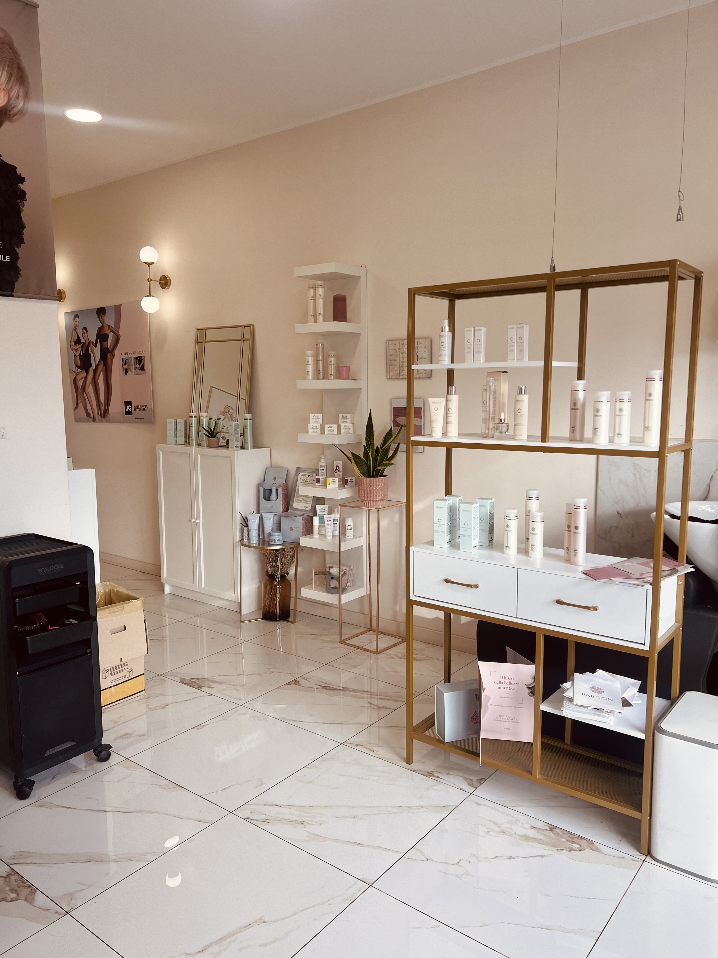 /api/file/public/265393/31031