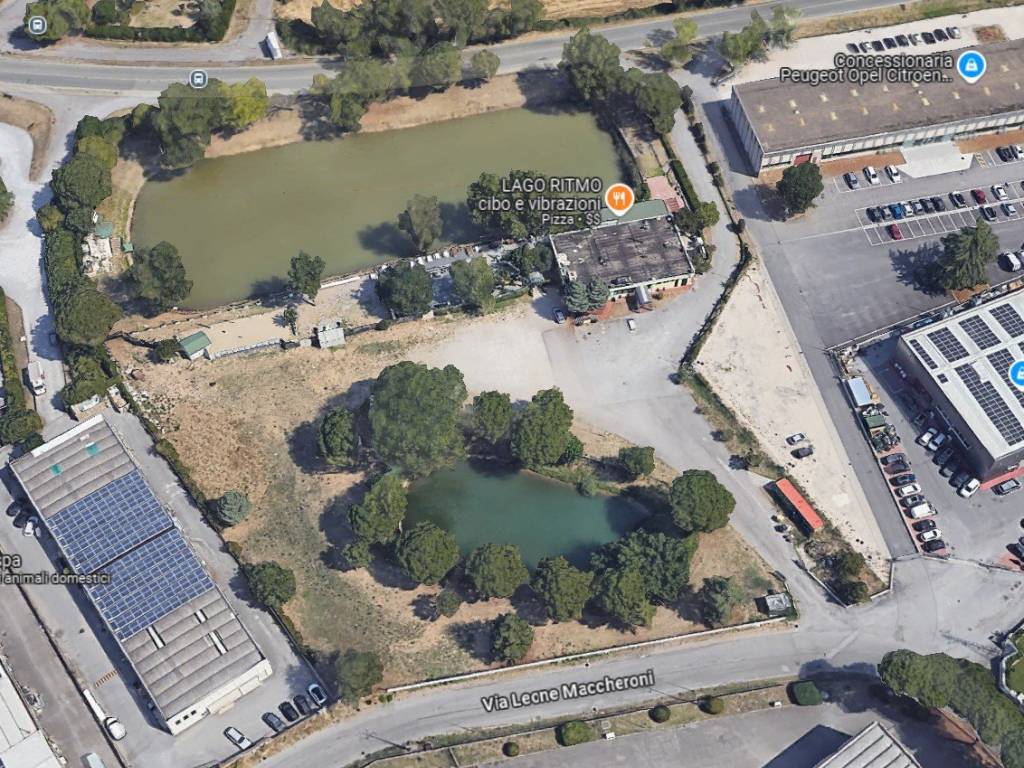 /api/file/public/265397/31042