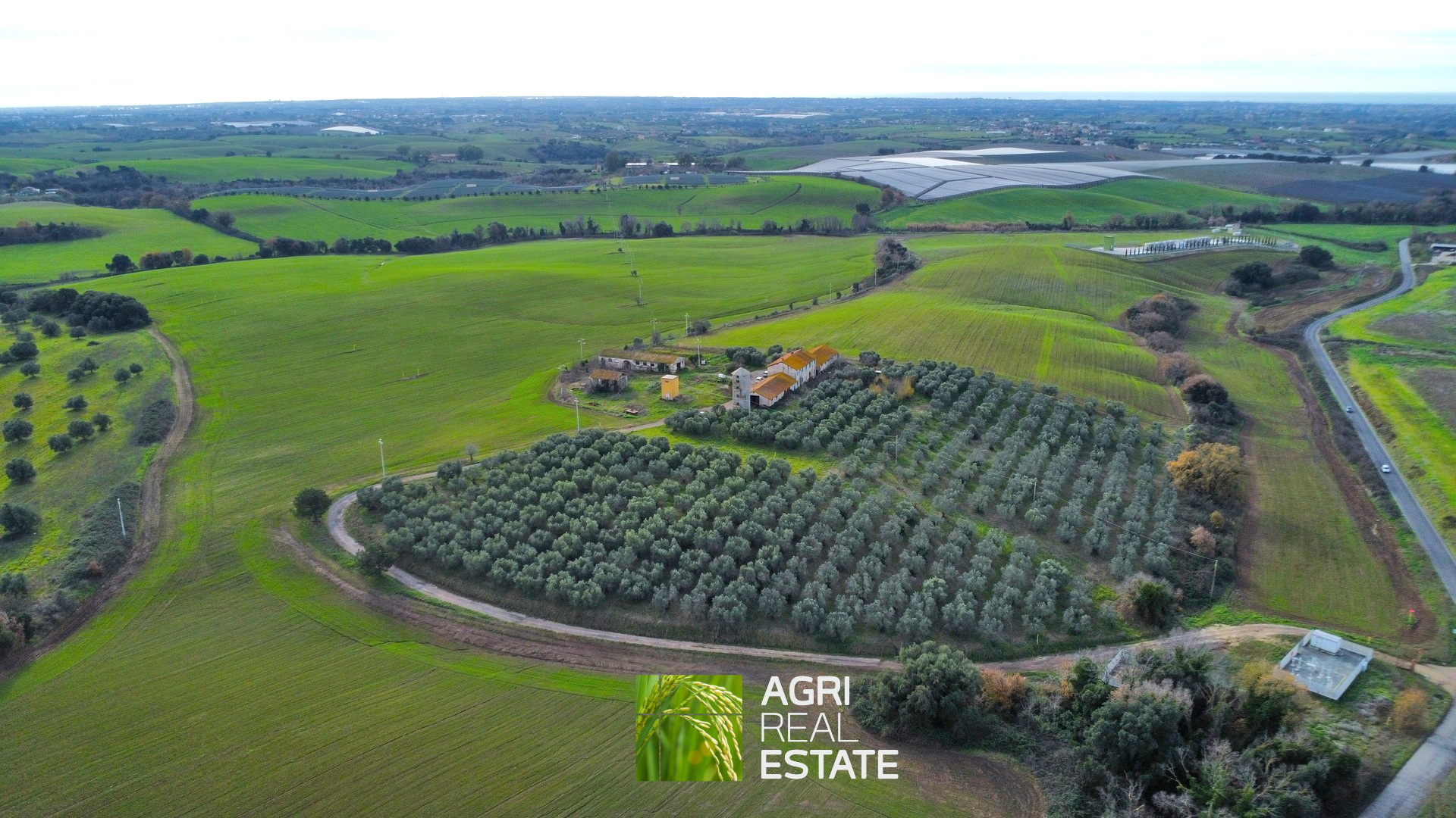 /api/file/public/265400/31065