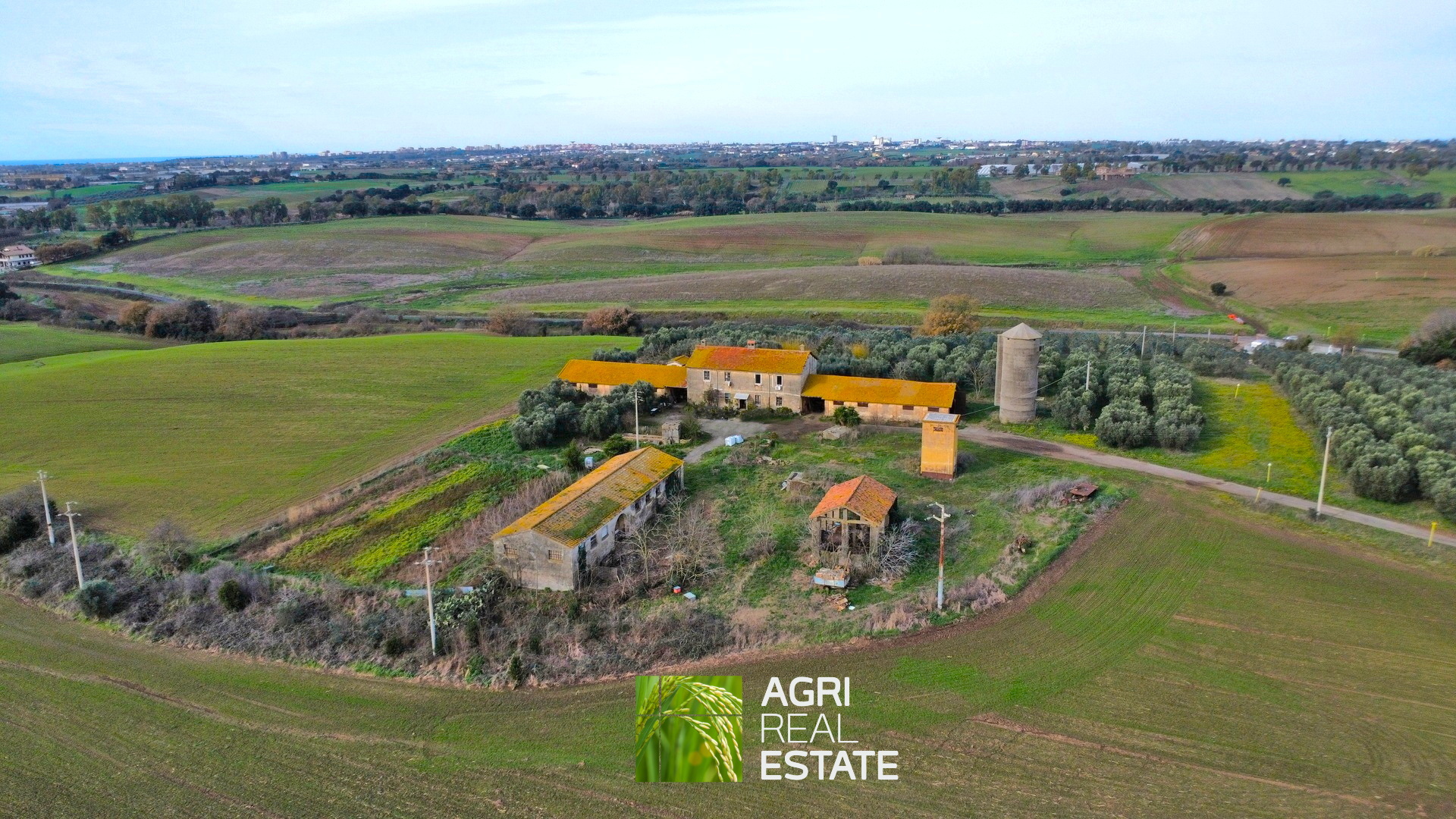 /api/file/public/265400/31067