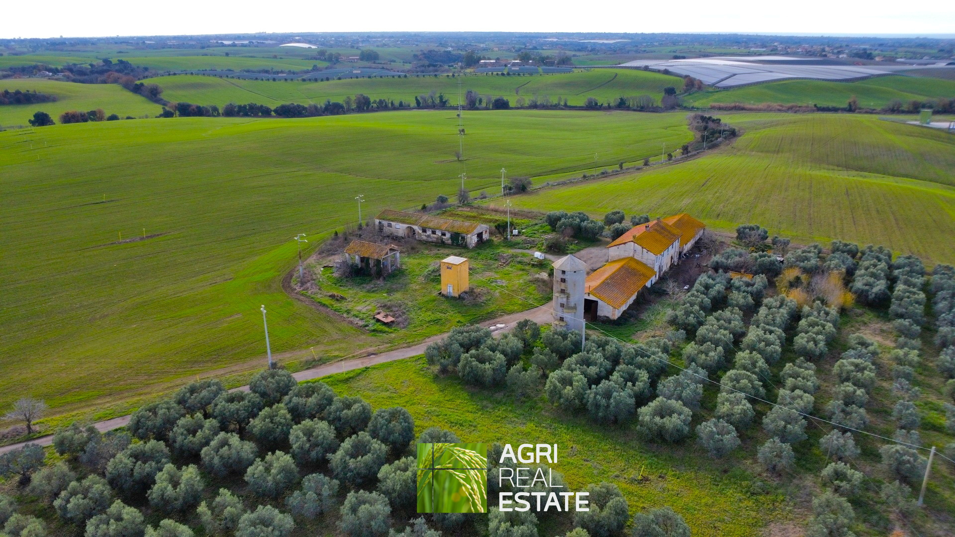 /api/file/public/265400/31068