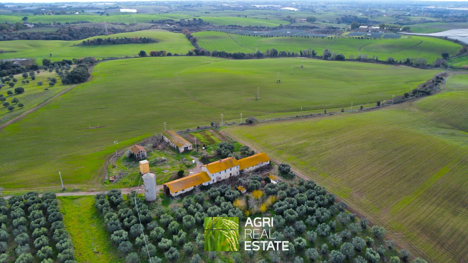 /api/file/public/265400/31070