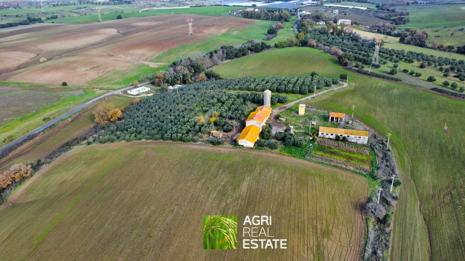 /api/file/public/265400/31072