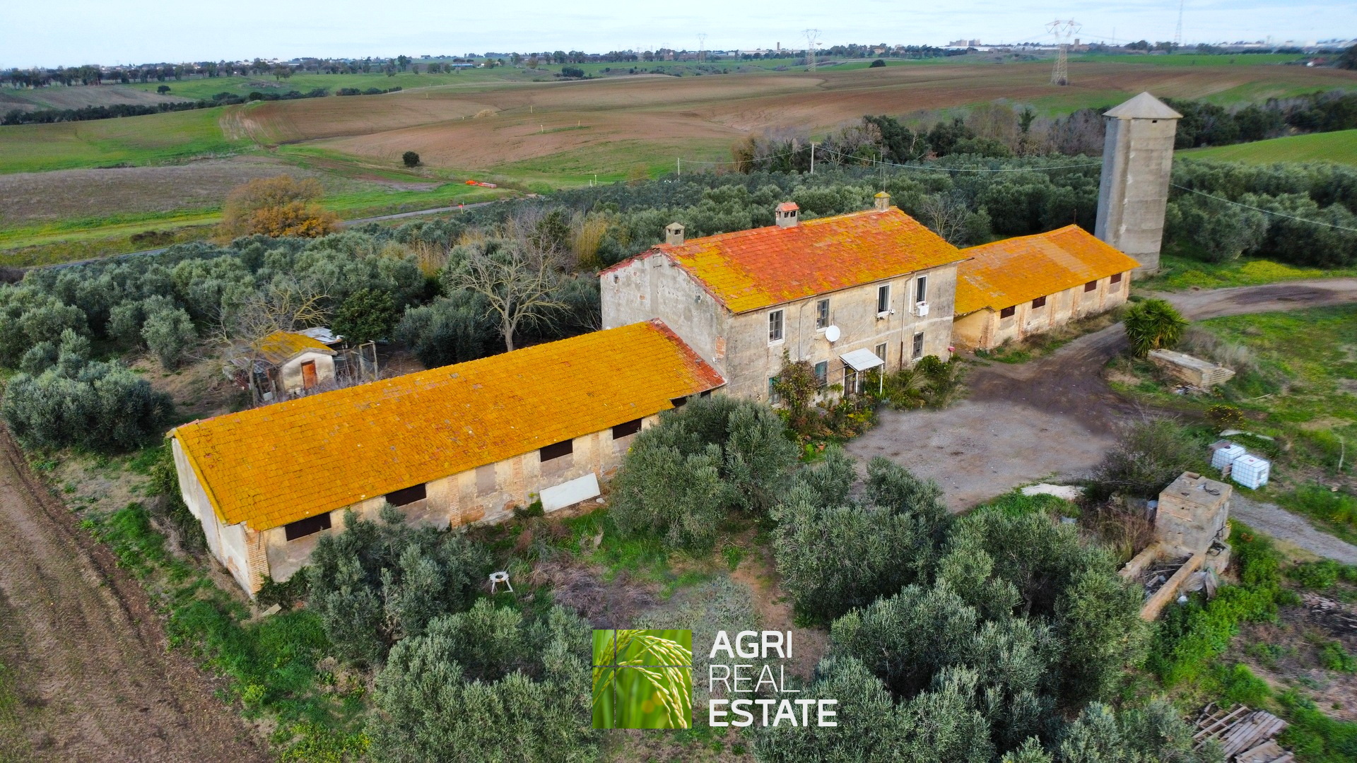 /api/file/public/265400/31074