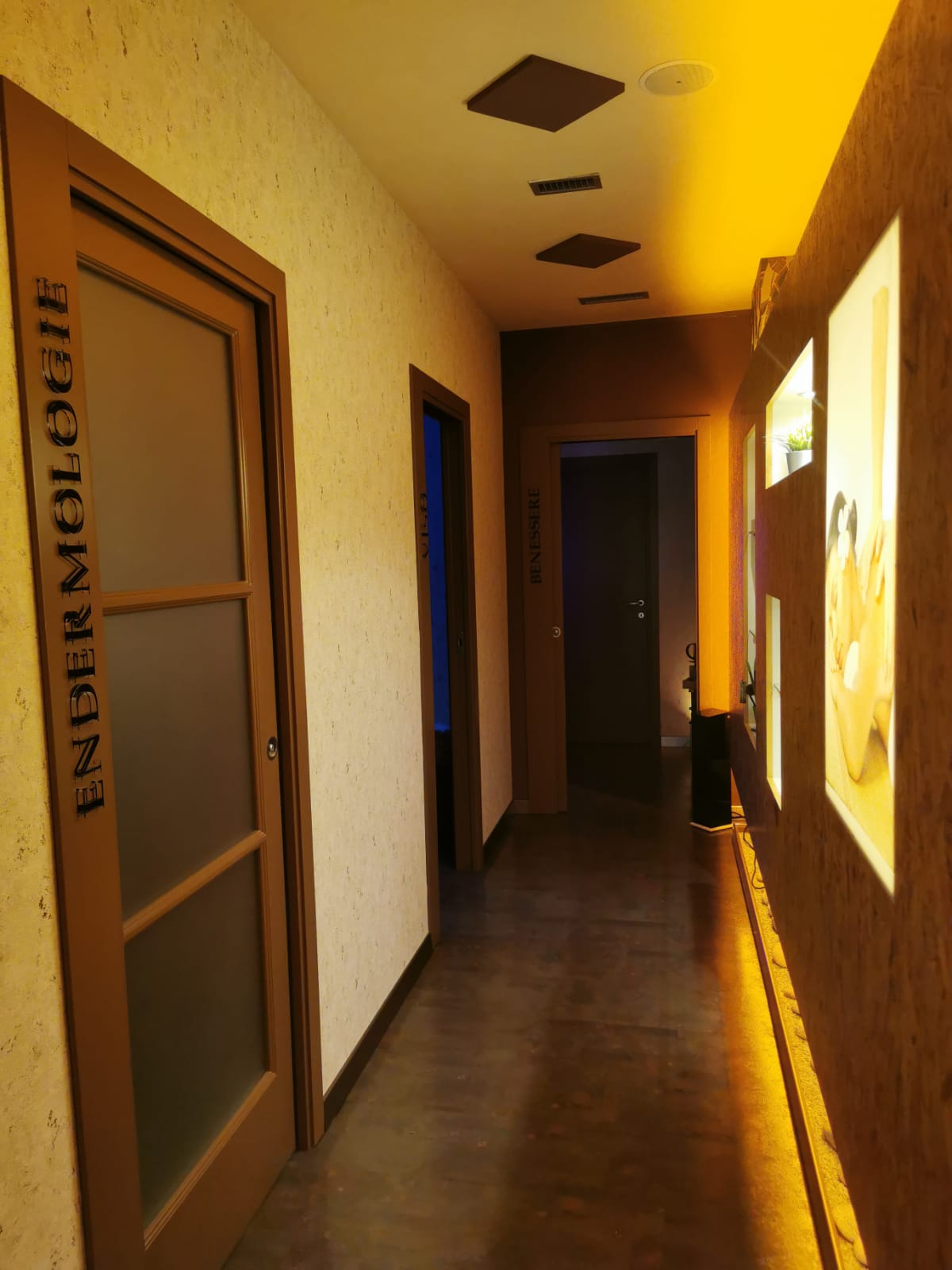 /api/file/public/265401/31078