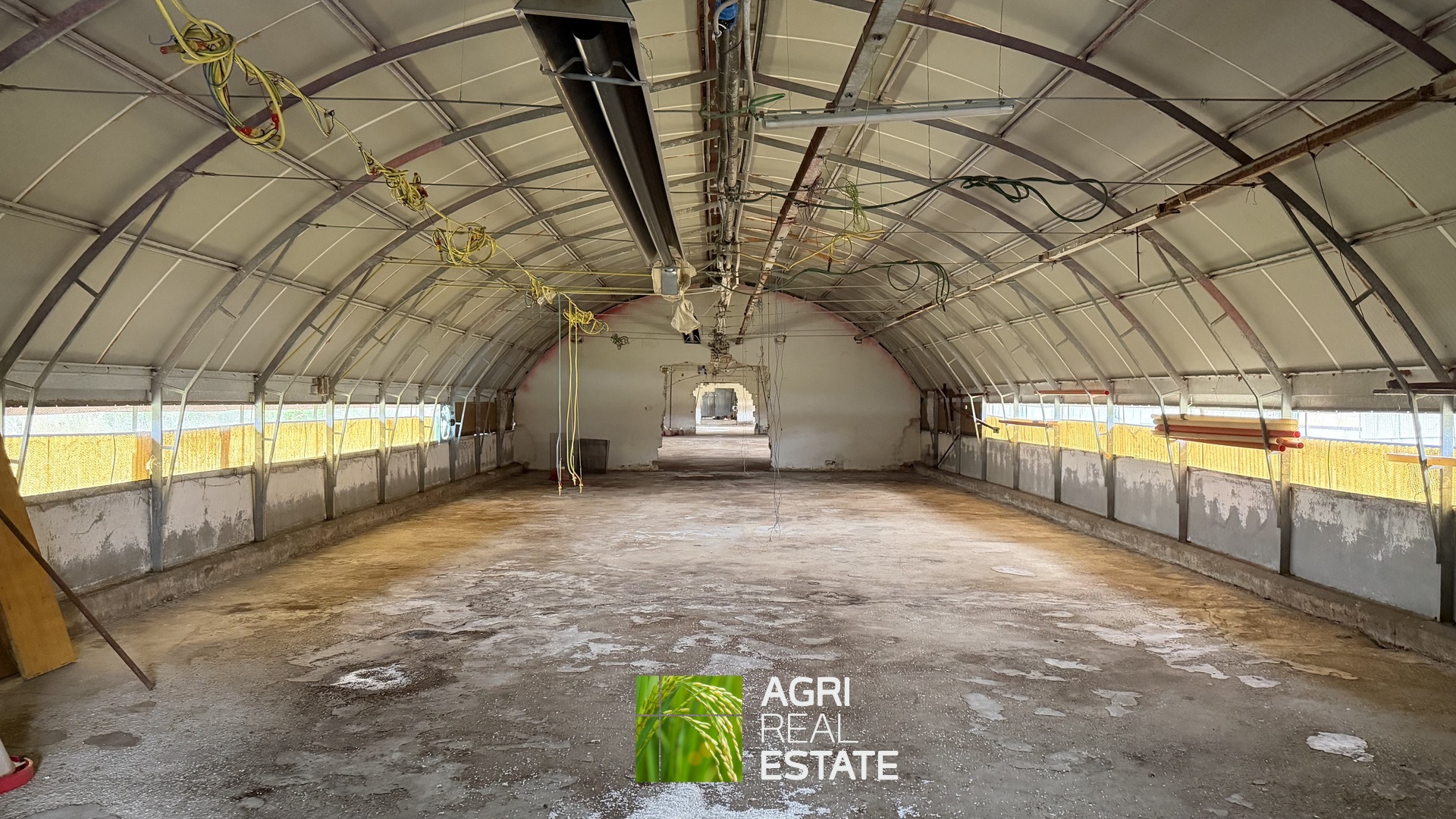 /api/file/public/265403/31082