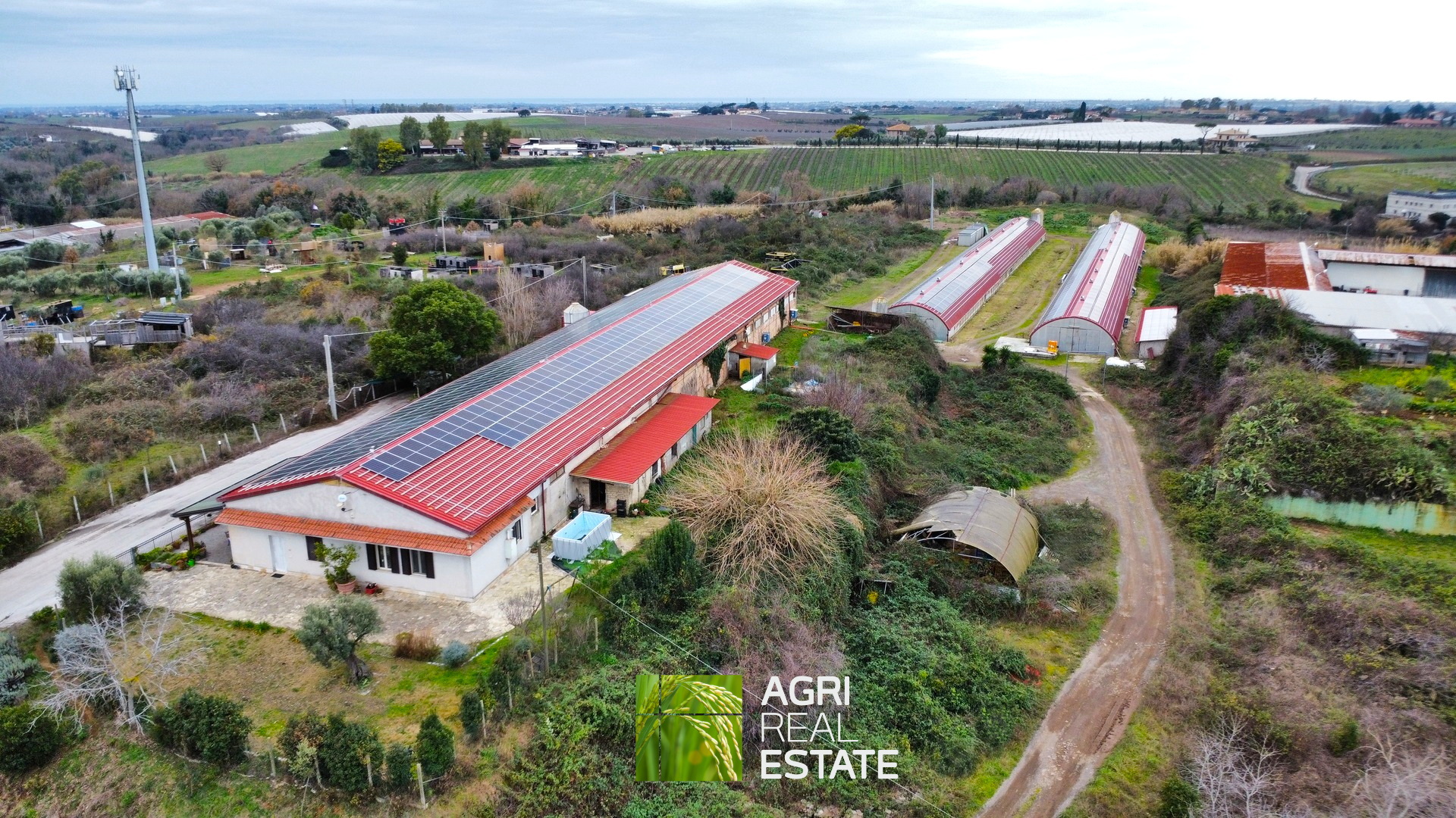 /api/file/public/265403/31084