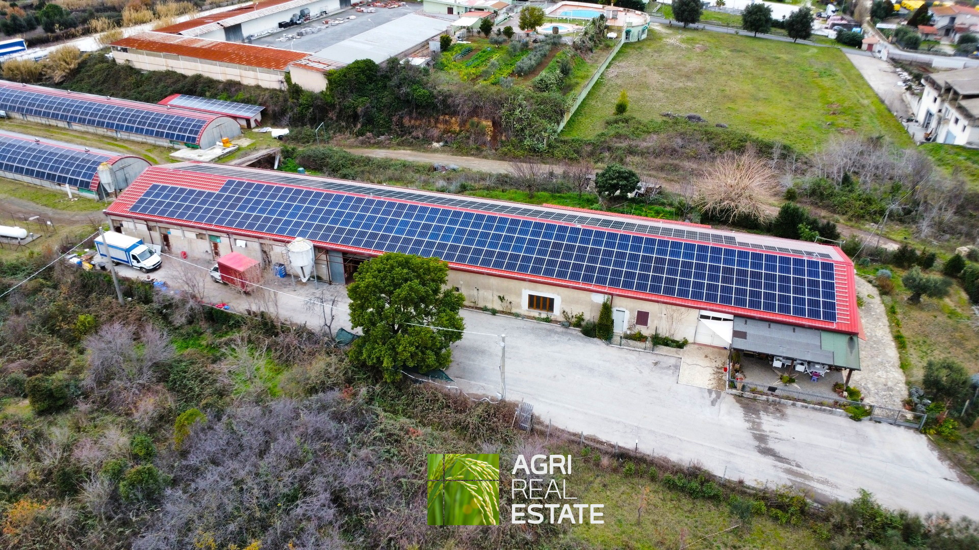 /api/file/public/265403/31086