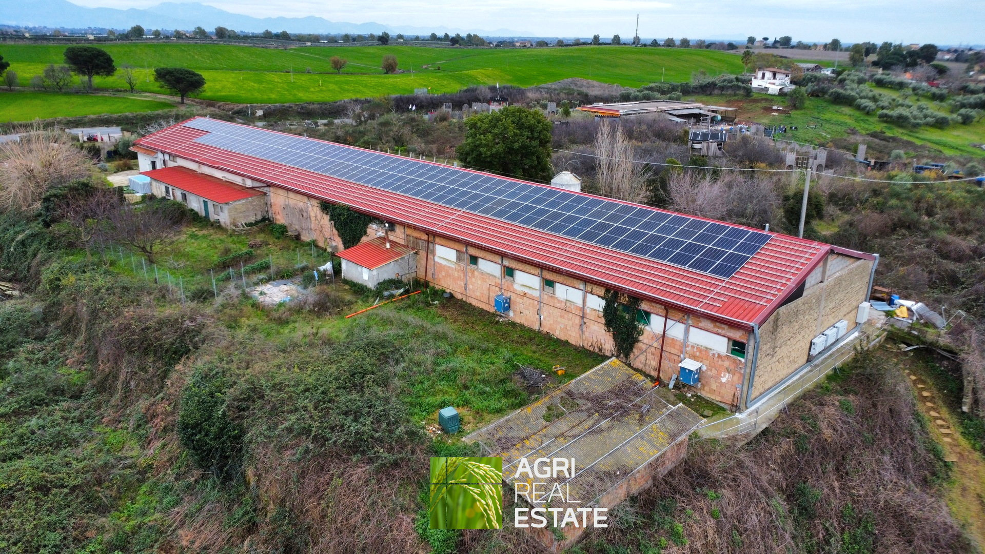 /api/file/public/265403/31087