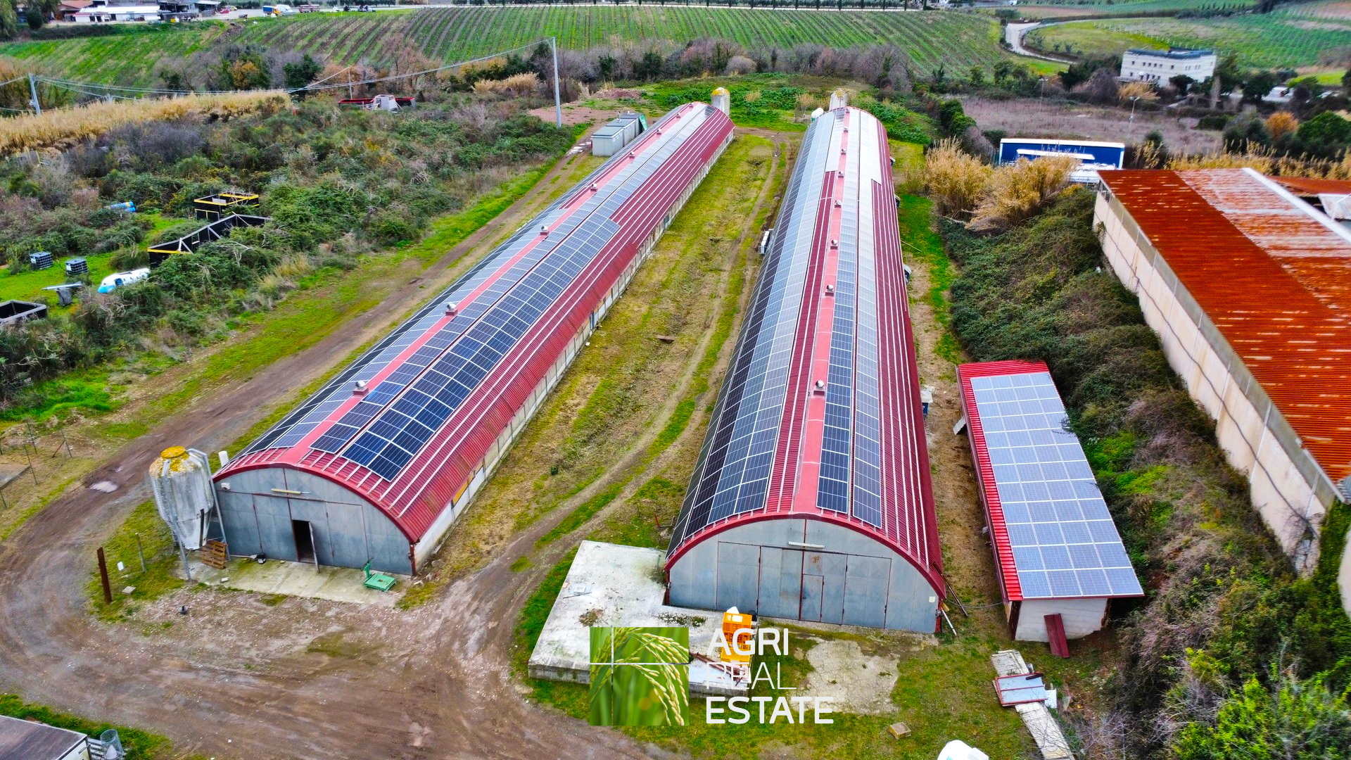 /api/file/public/265403/31089