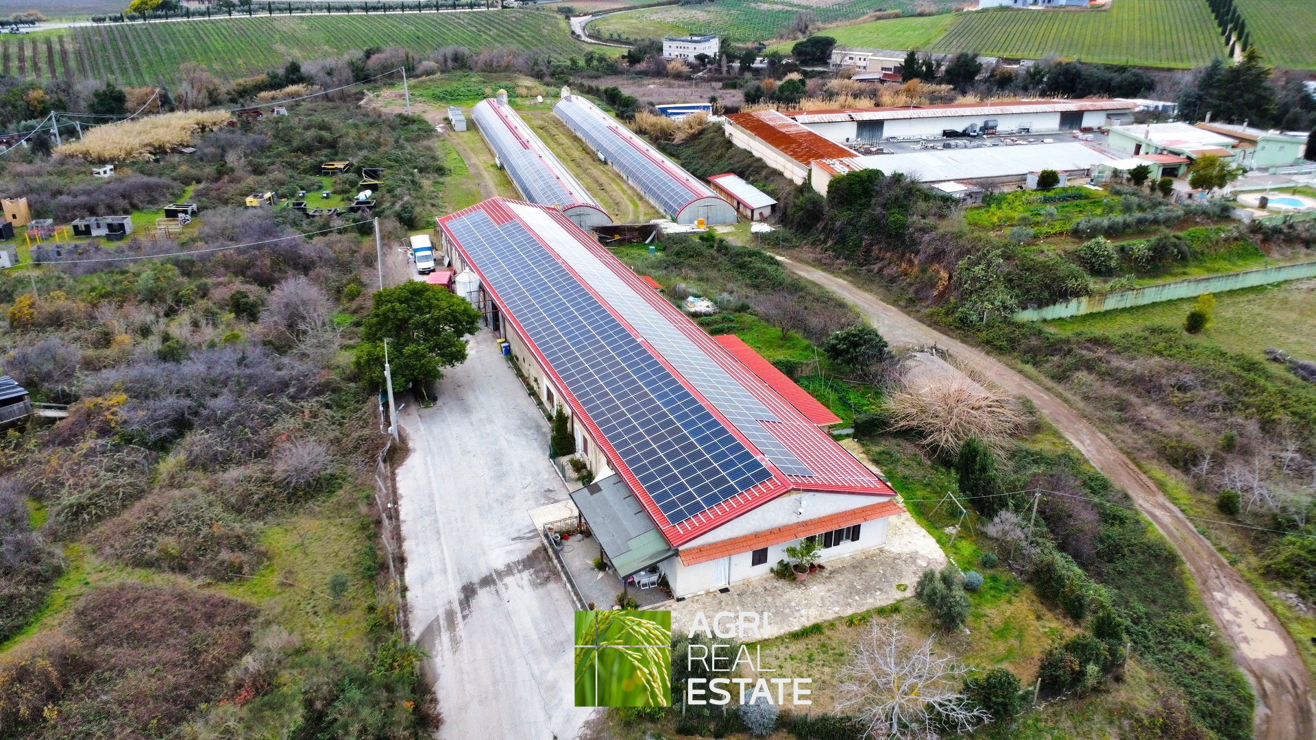 /api/file/public/265403/31090