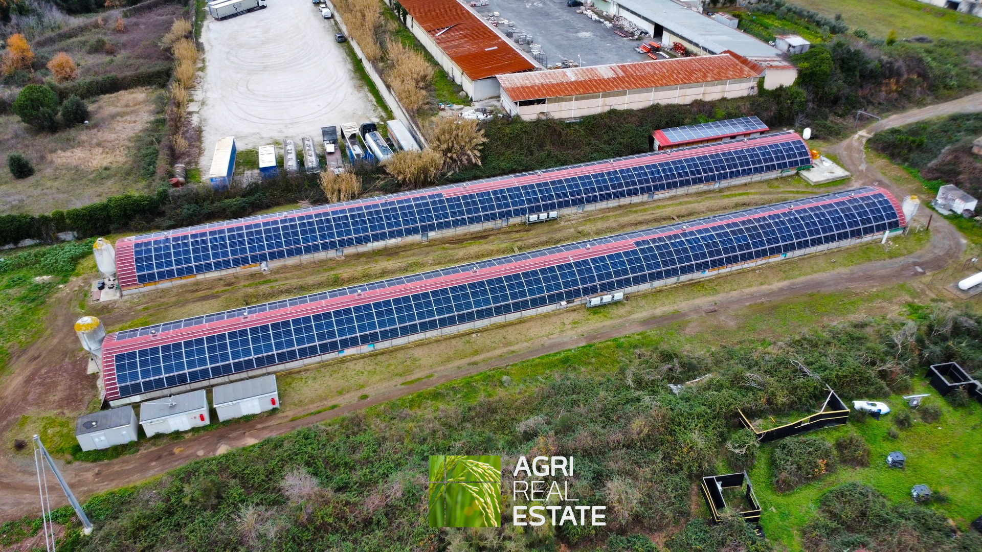 /api/file/public/265403/31092