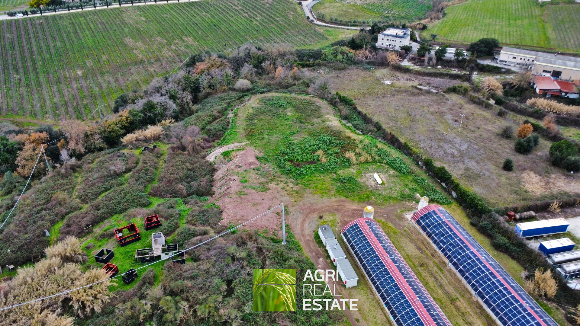 /api/file/public/265403/31093