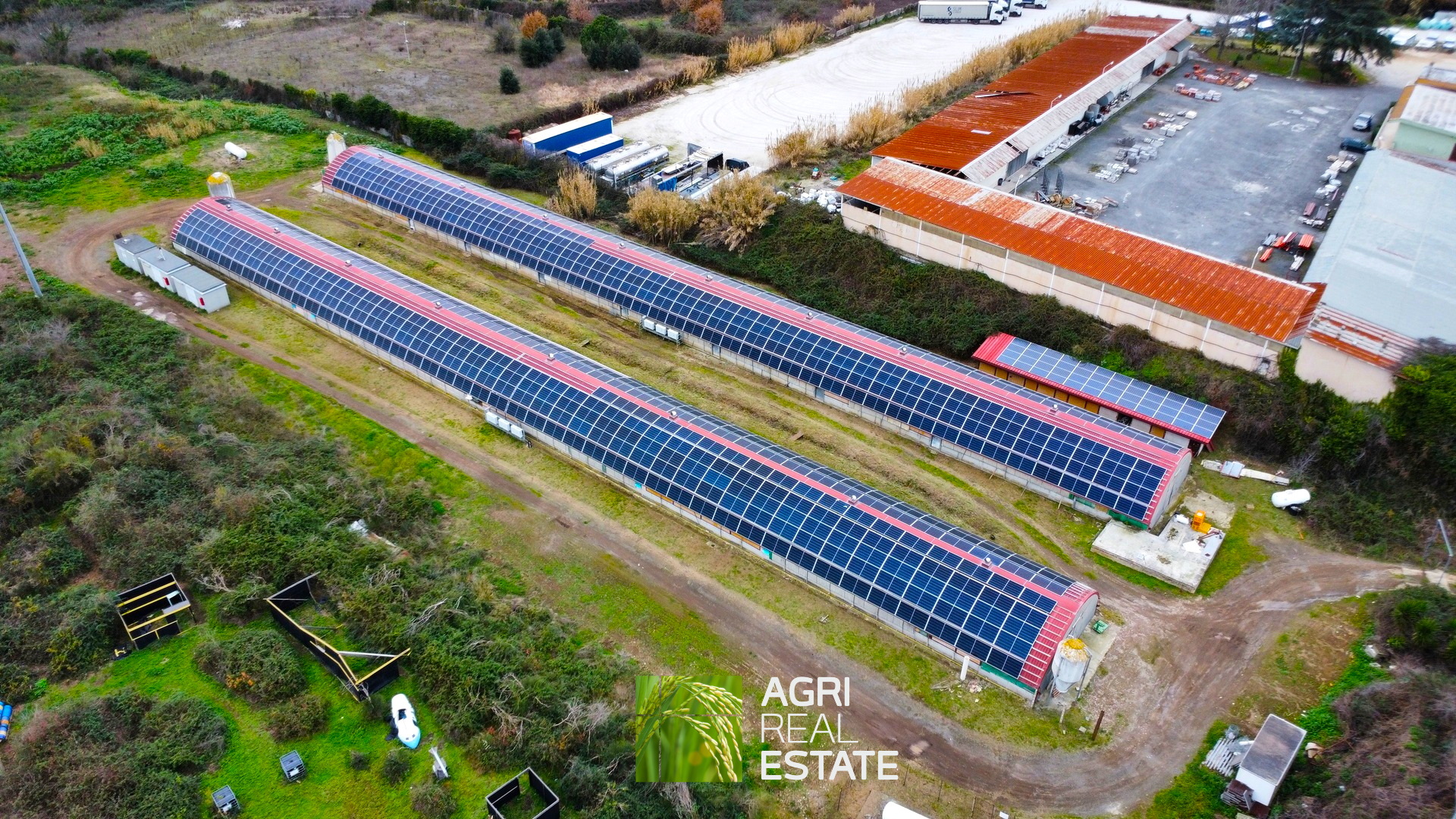 /api/file/public/265403/31095