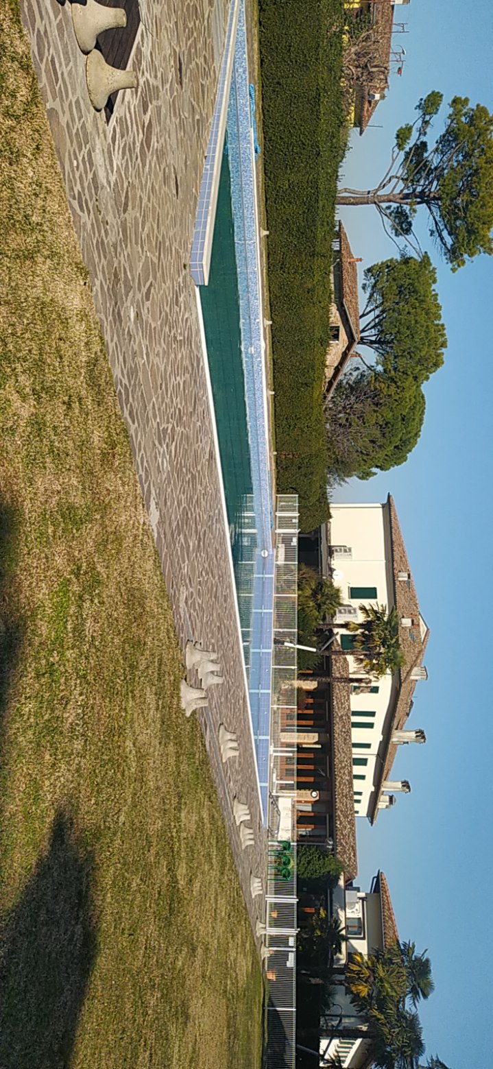 /api/file/public/265413/31116