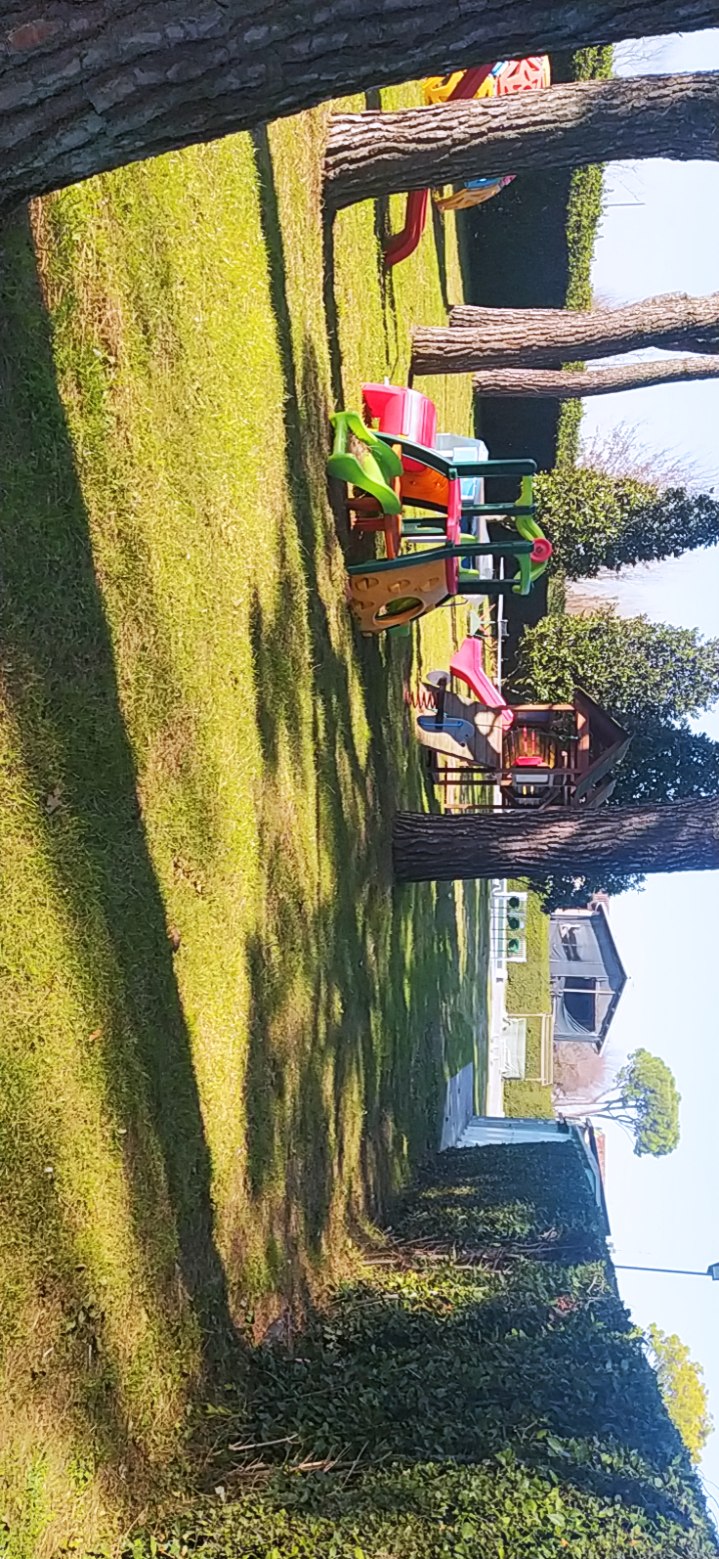 /api/file/public/265413/31117