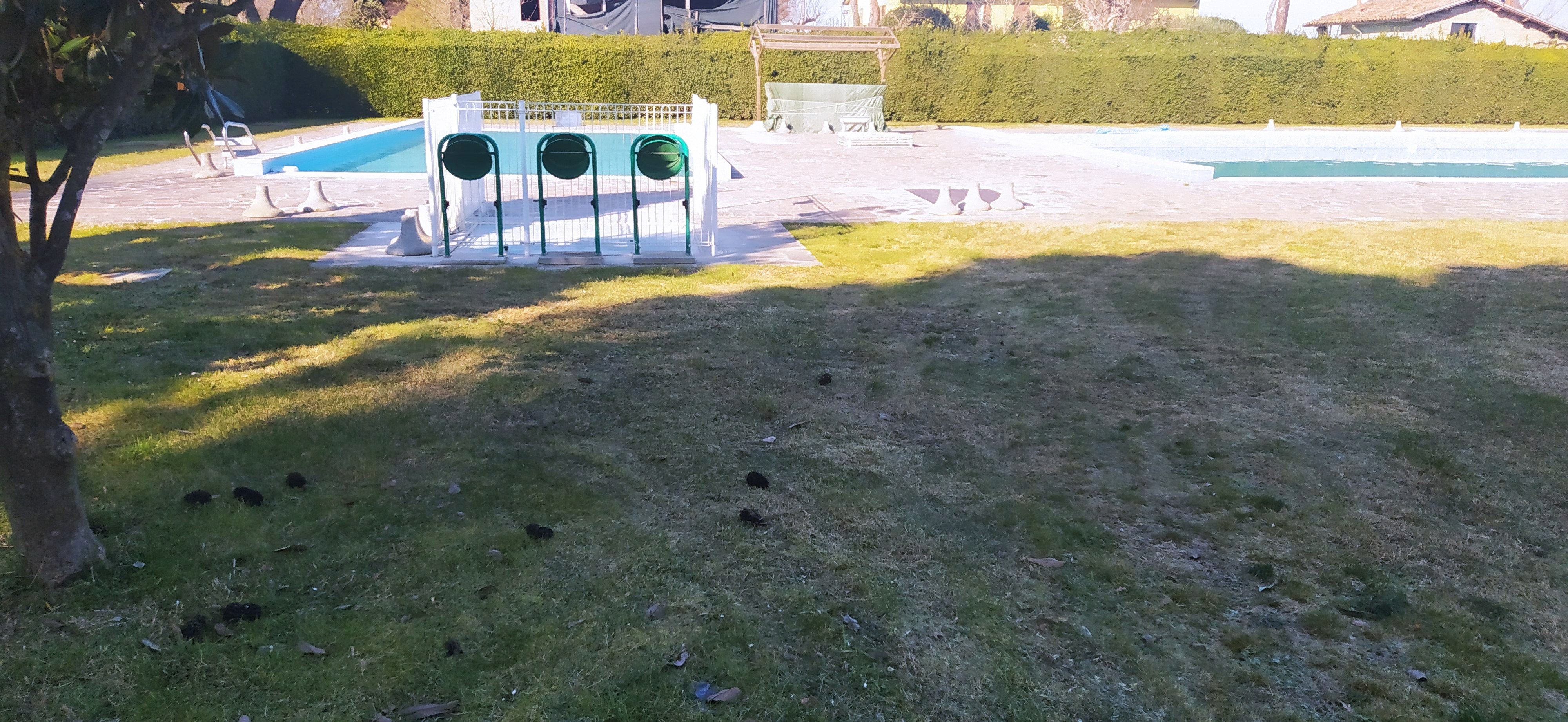 /api/file/public/265413/31135