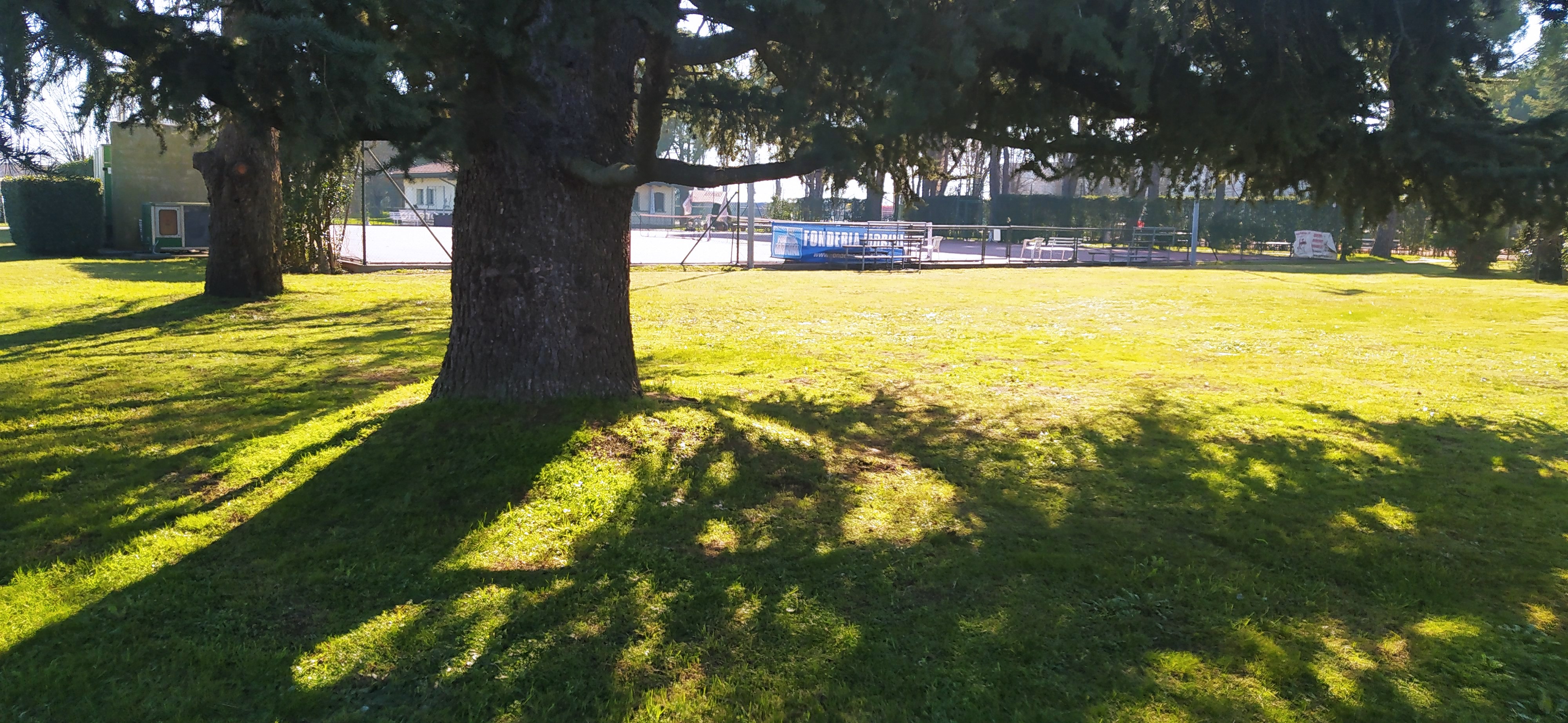 /api/file/public/265413/31136