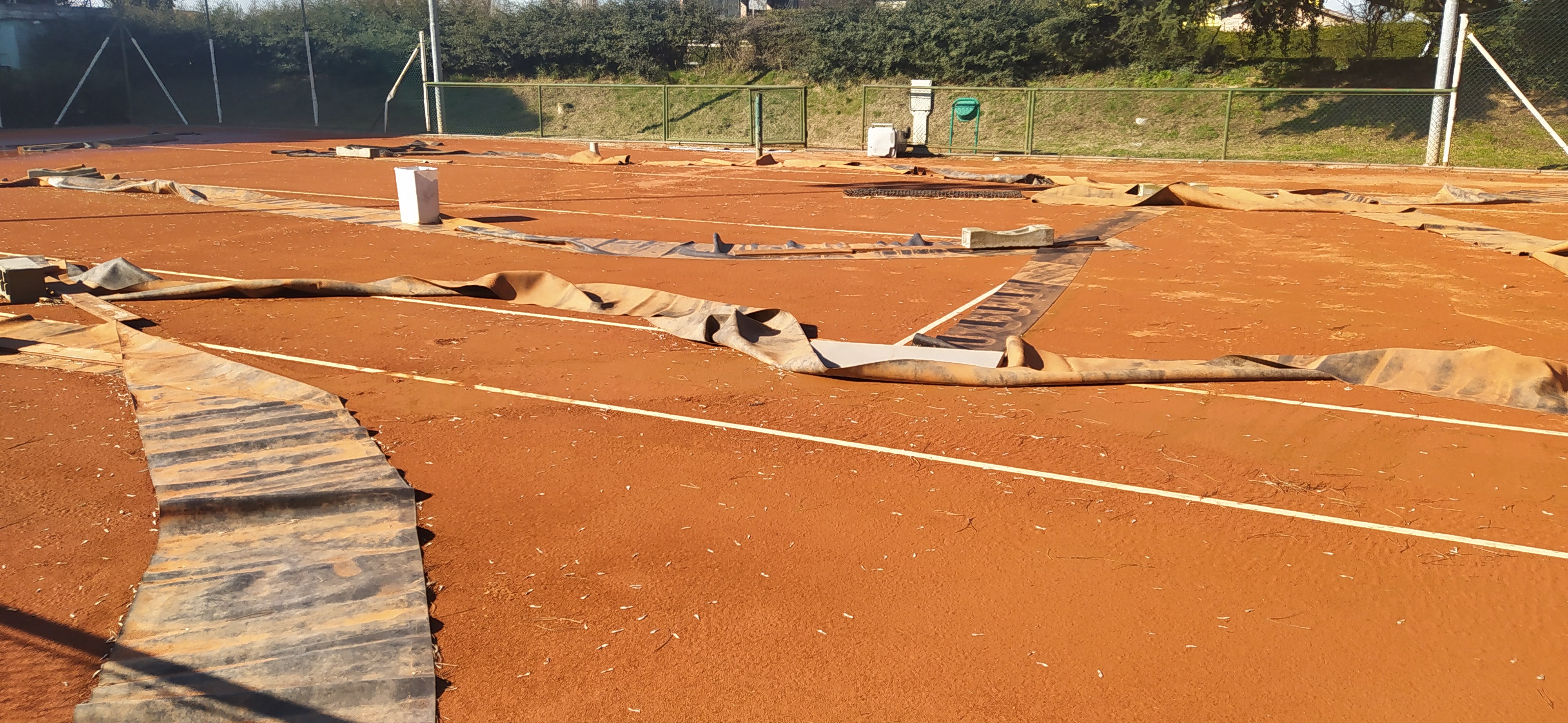 /api/file/public/265413/31139