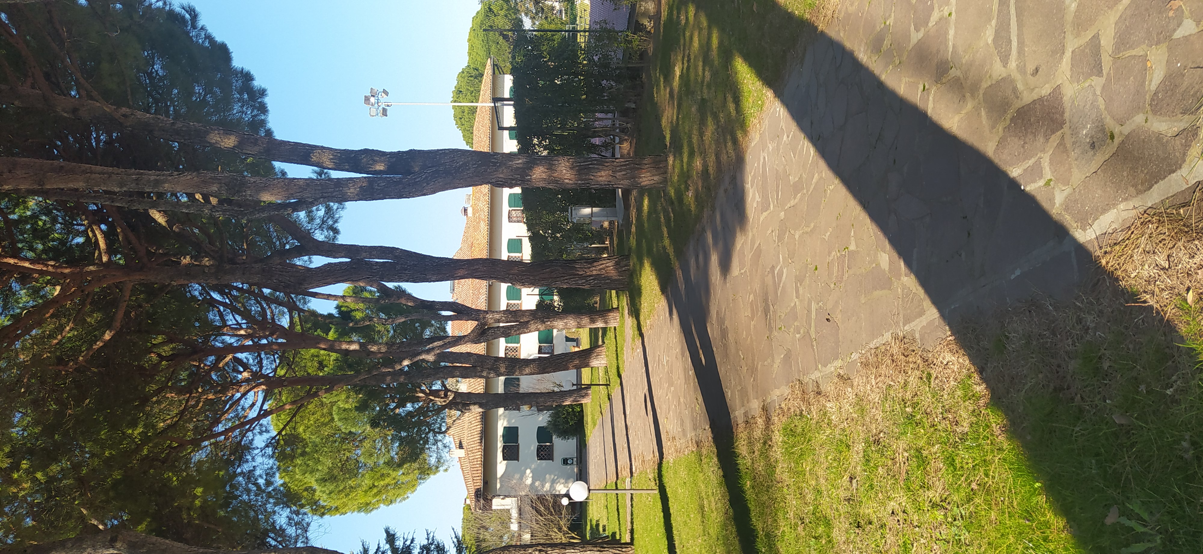 /api/file/public/265413/31149