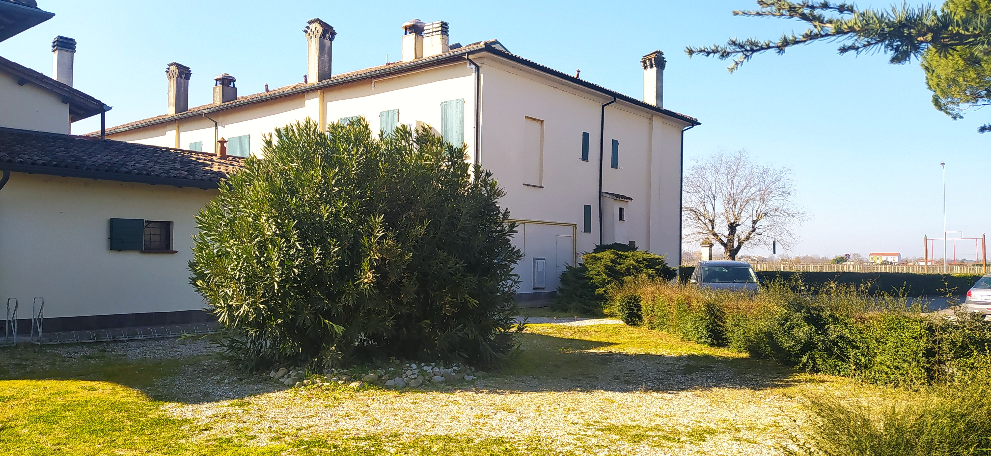 /api/file/public/265413/31164