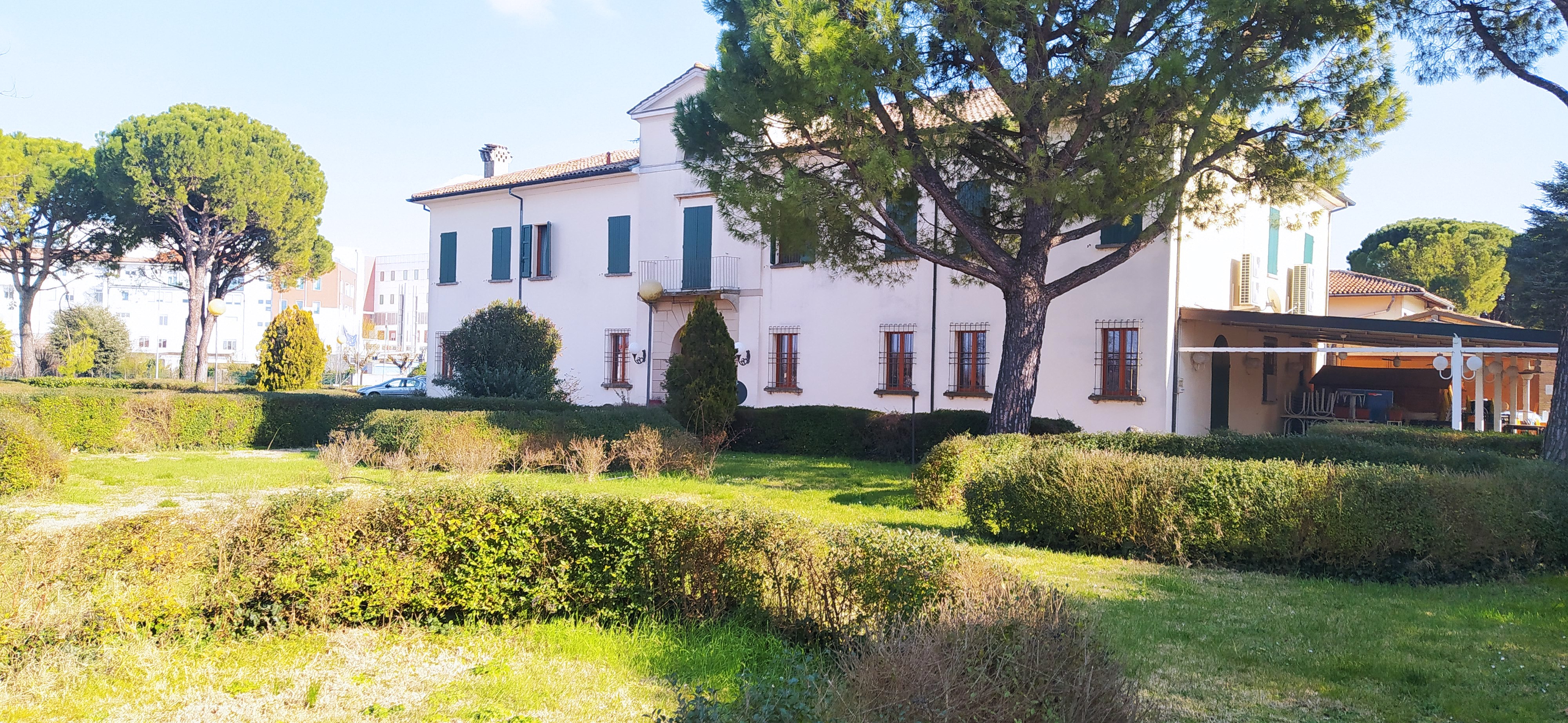 /api/file/public/265413/31185