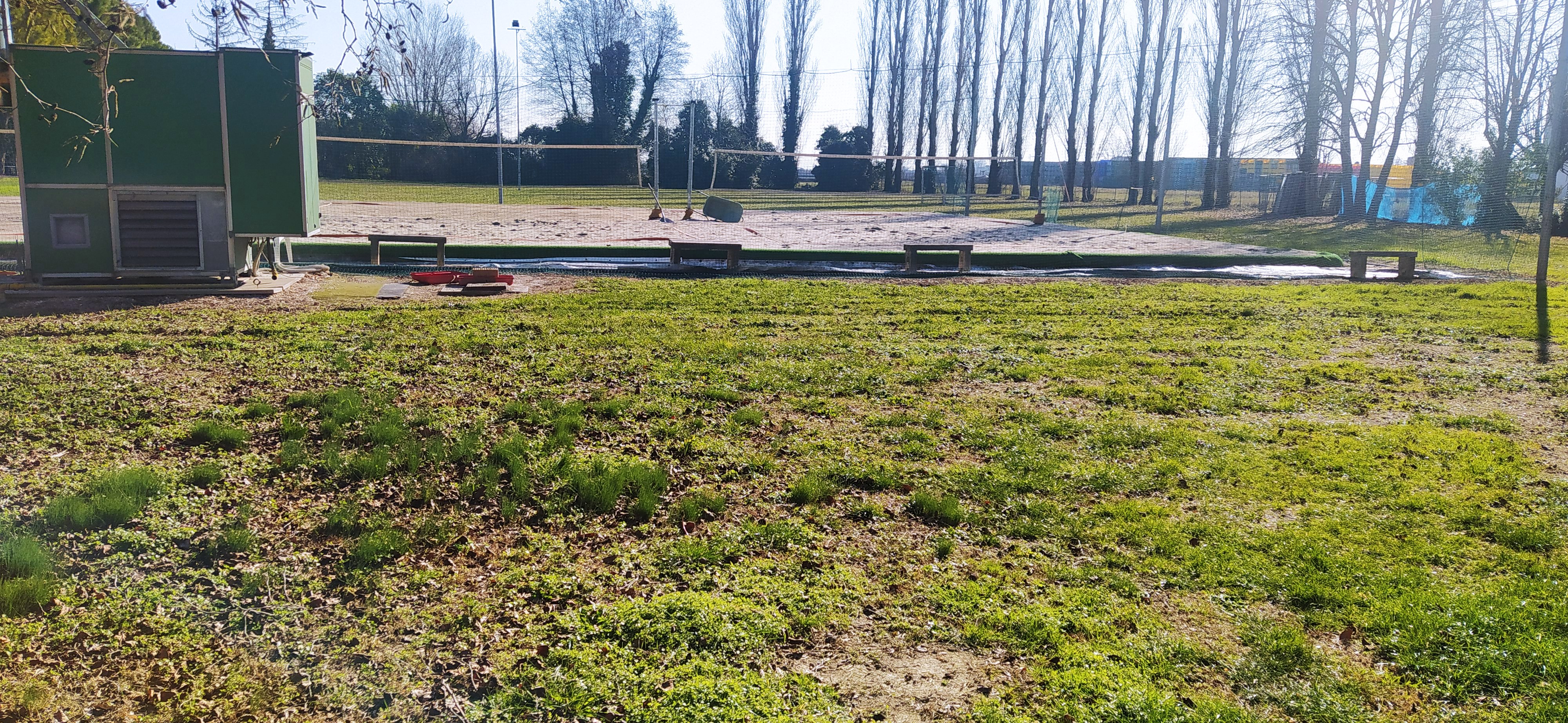 /api/file/public/265413/31202