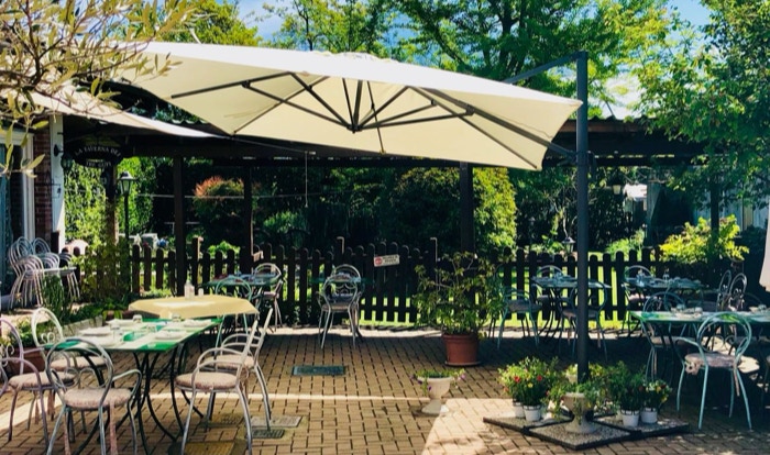 /api/file/public/265414/31213