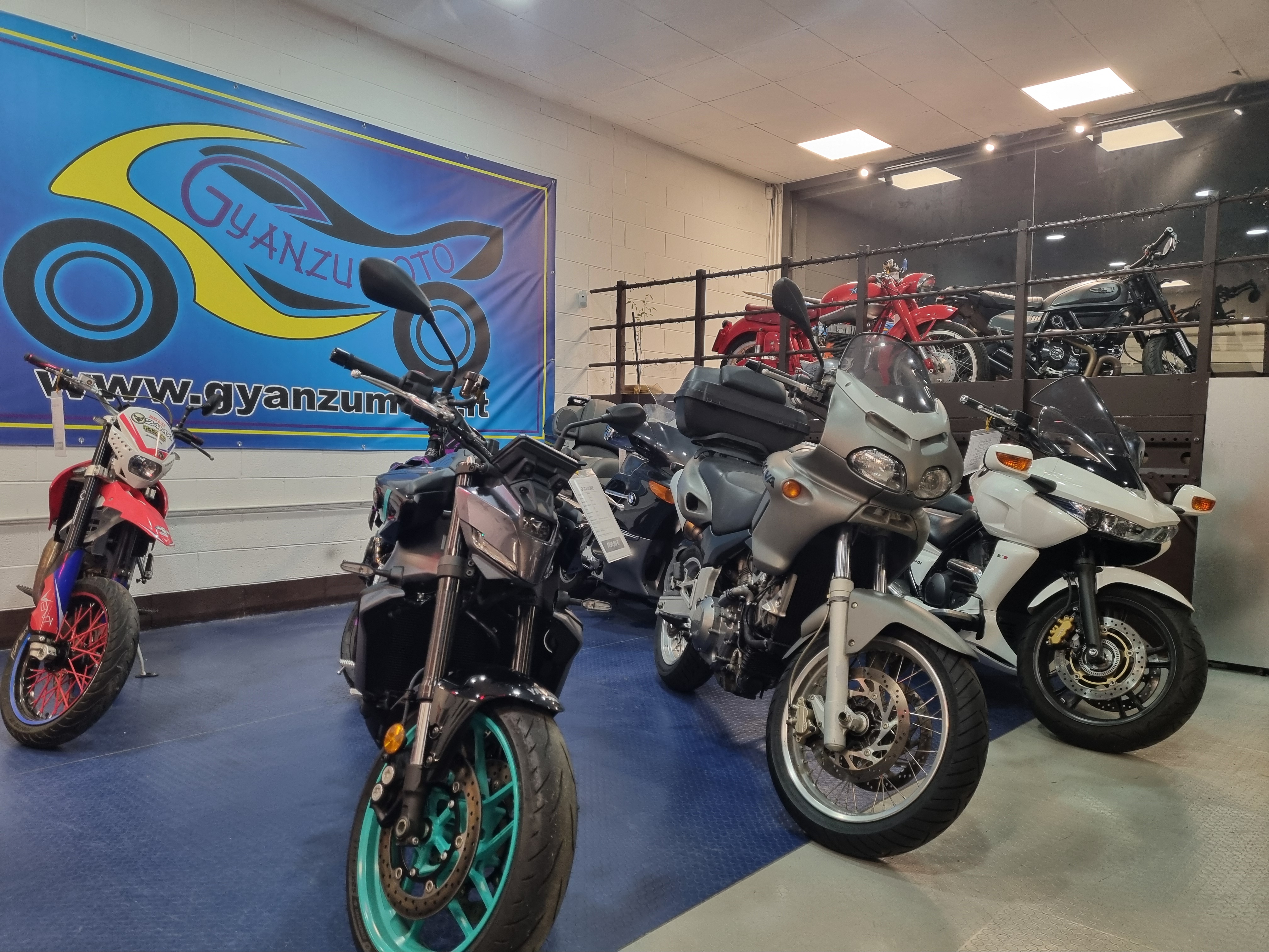 /api/file/public/265416/31229