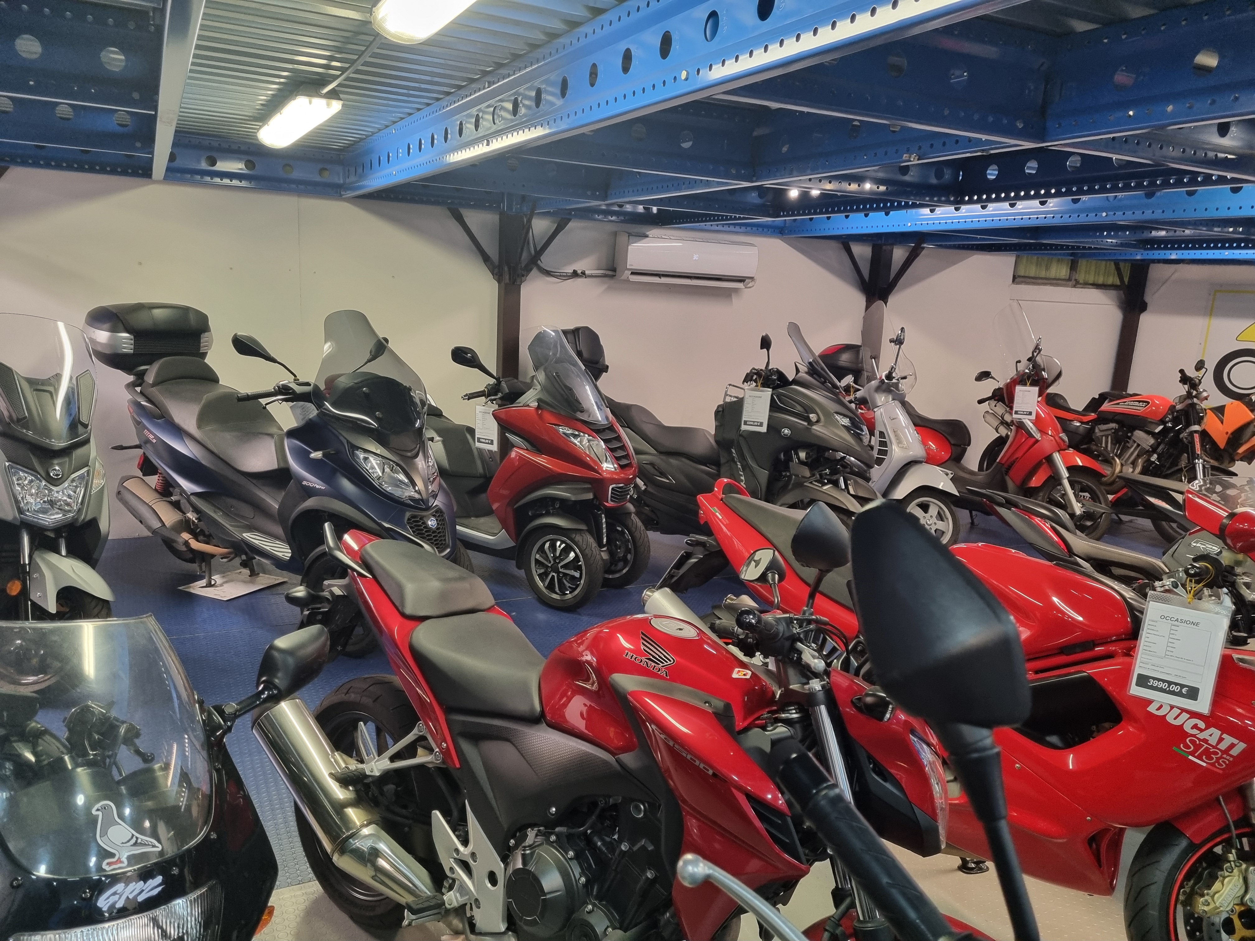 /api/file/public/265416/31235