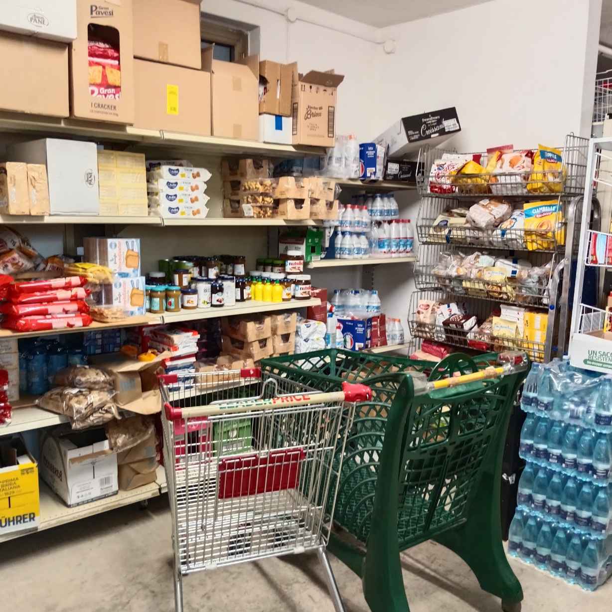 /api/file/public/265424/31265