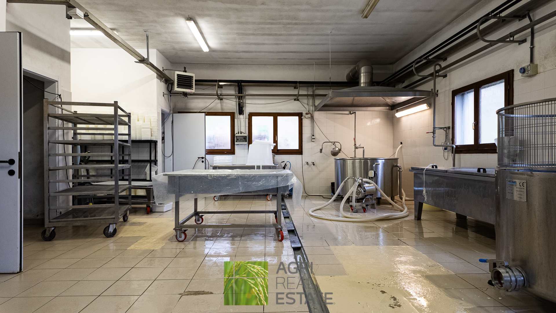 /api/file/public/265429/31271