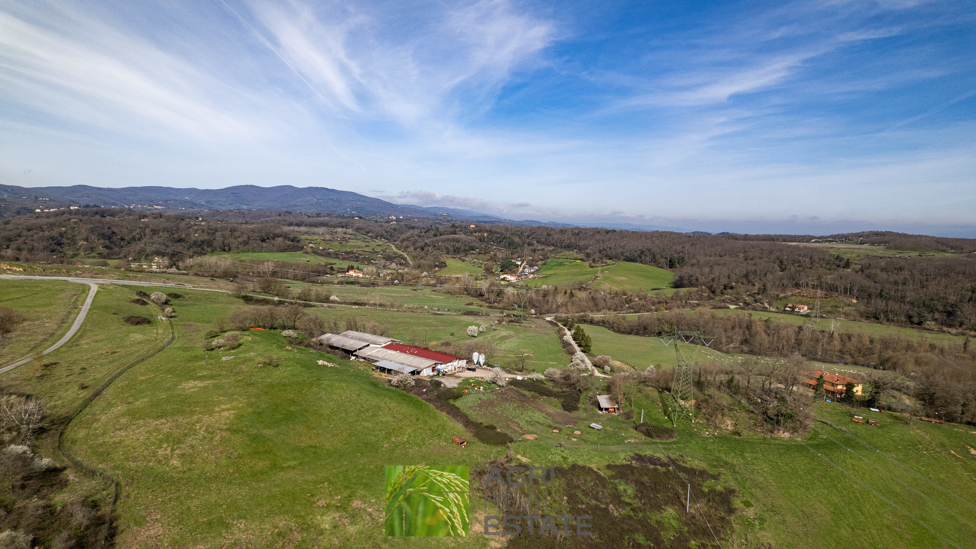 /api/file/public/265429/31274