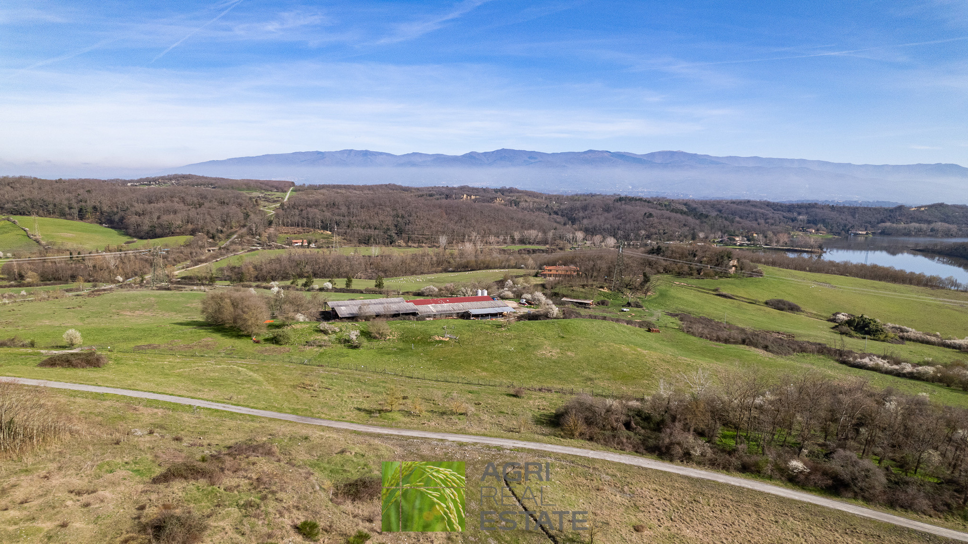 /api/file/public/265429/31278