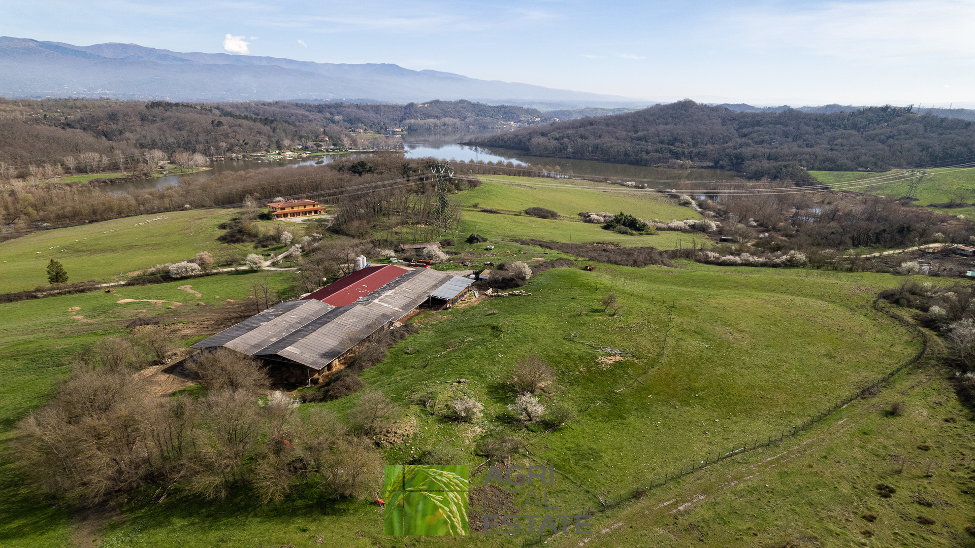 /api/file/public/265429/31279