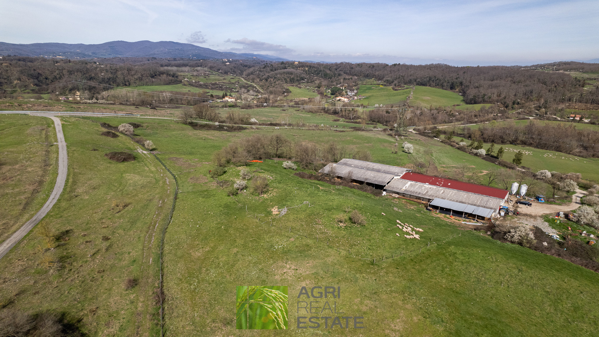 /api/file/public/265429/31280