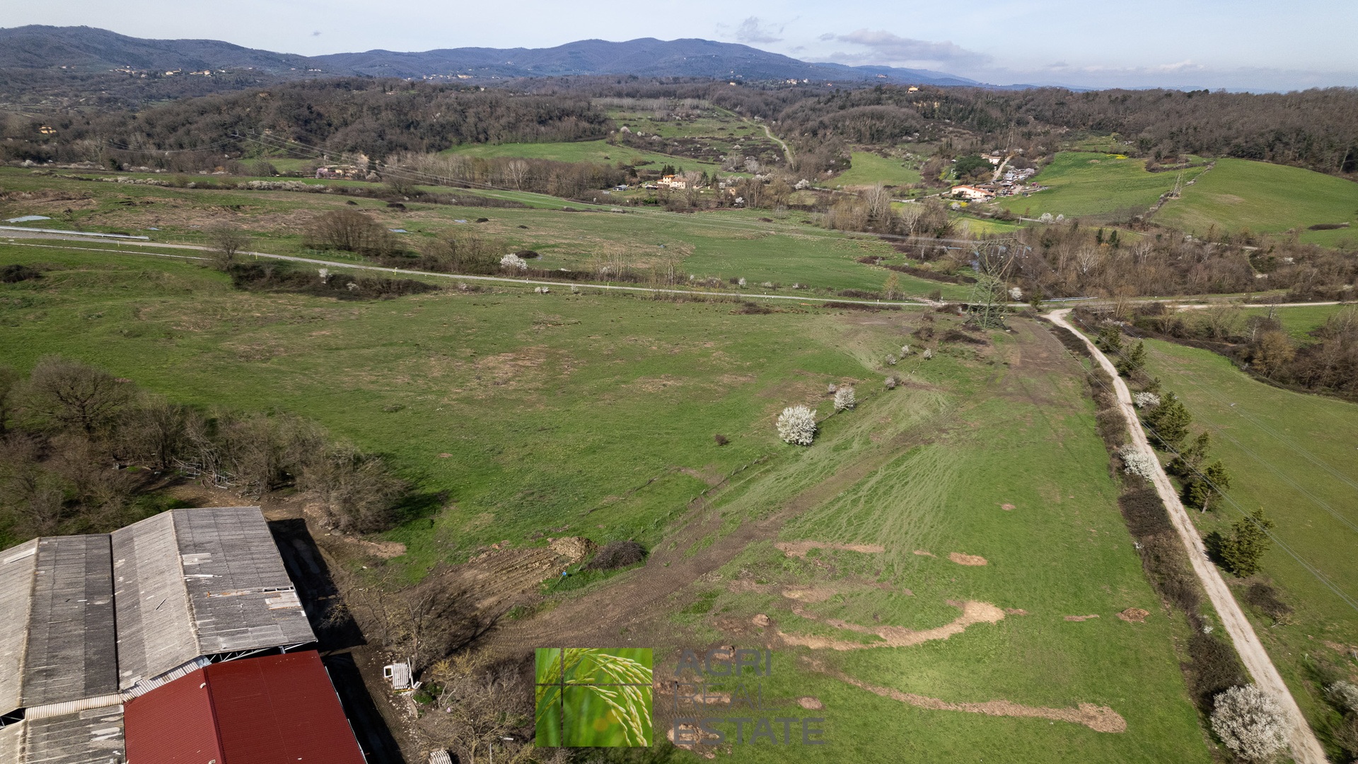 /api/file/public/265429/31282